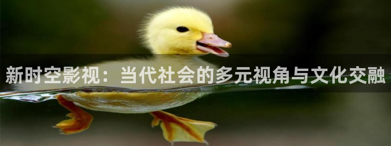 神马伦理影院我不卡