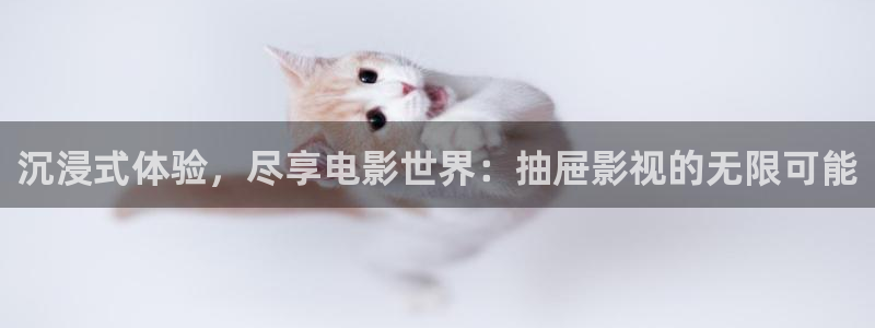 6080午夜伦理影院